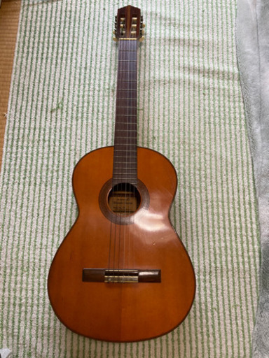 問い合わせ有【ギター】shinano Gitar