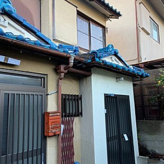 大家直接募集！連保不要！生保可！初期費用0円！！！大型犬、多頭飼...