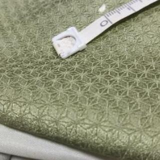 👘逸品 正絹 色留袖 ♪ 金駒刺繍 三つ紋 比翼無し 訪問着 留袖 美品の画像