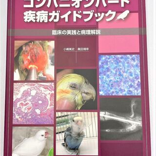 ☆コンパニオンバード疾病ガイドブック　獣医学本　専門書☆5500...