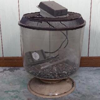 【連絡いただいた方とお話中です】金魚鉢（2種類あります！）
