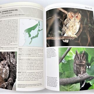 ☆Owls of the World　図鑑　洋書☆1650円（税込）　法人所有の画像