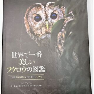【値下げ】☆世界で一番美しいフクロウの図鑑☆2090円（税込）　...