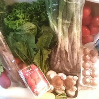 野菜類