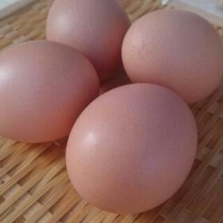 果物＆洗剤②取引中の画像