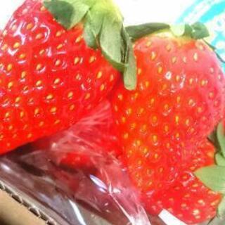 果物＆洗剤②取引中の画像