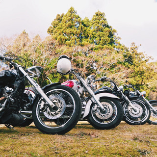 ドラッグスター、アメリカン乗りの友達募集🏍