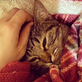 るるべ♡家族ができました