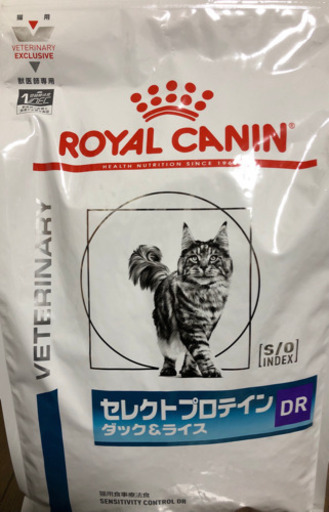 猫のごはん　 CANIN