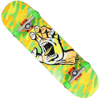 サンタクルーズ コンプリート Santa Cruz スケートボード