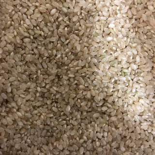 広島県産コシヒカリ 10kg 