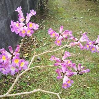 朝のヨガで、心とカラダを整える生活習慣を！