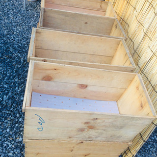 まとめ売りリンゴ箱1個あたりの画像