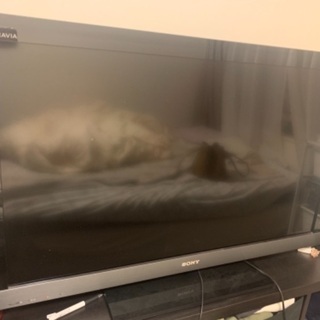 ［1万円］Sony Bravia KDL-40EX500 フルハ...