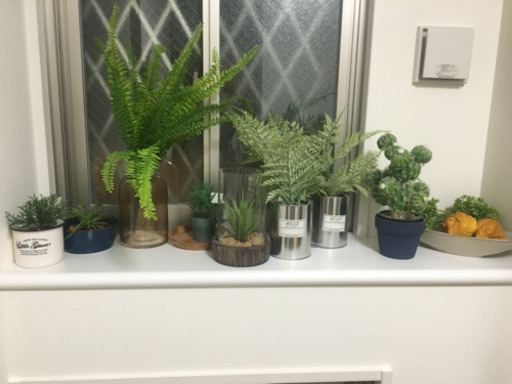 観葉植物セット→モデルルームにかざってあったものです！