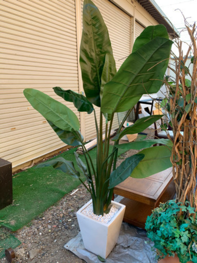人工観葉植物 フェイクグリーン 高さ160cmくらい  しげん屋