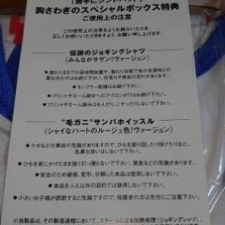 サザンオールスターズ  勝手にシンドバッドの画像