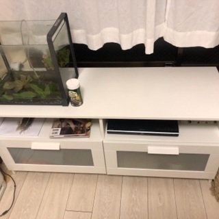 大きすぎた為、取りに来てくださる方に販売します。の画像