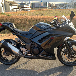 カワサキ‼️忍者300‼️希少車両‼️逆車フルパワー‼️極上