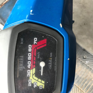 激レア！ペリカンジョグの画像