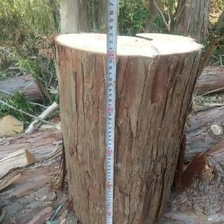 檜の丸太直径３０ｃｍ×高さ５０ｃｍ（直接受け取り歓迎）