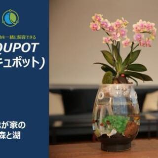 アキュポット(AQUPOT) M 水槽+植木鉢　加湿と空気清浄効...