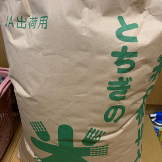 コシヒカリ　玄米30キロ　