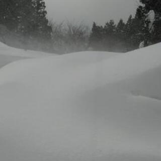 「除雪ボランティア」募集。