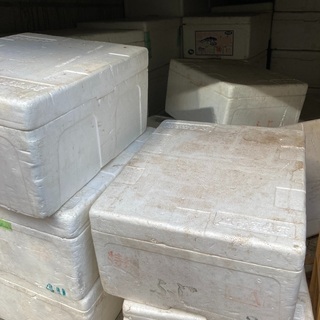 発泡の大きな箱　使用品　