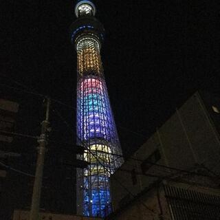 お散歩仲間募集　（墨田区周辺）