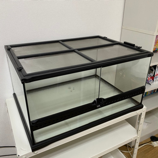 ジェックス リクガメ 爬虫類 ゲージ w60cm
