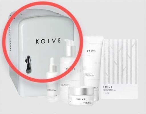 KOIVE ポータブル保冷温庫 4L