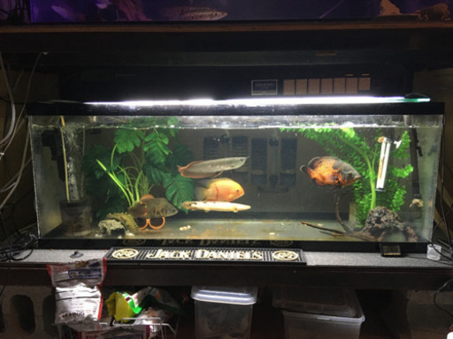 1200水槽24日まで価格