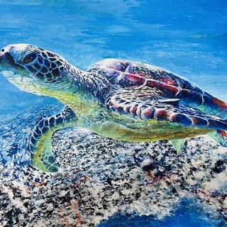 【油絵風水彩画の販売】ウミガメ『水彩画』。サイズはA3（縦297mm×横420mm）です。自宅等室内用インテリアとしていかがでしょうか？