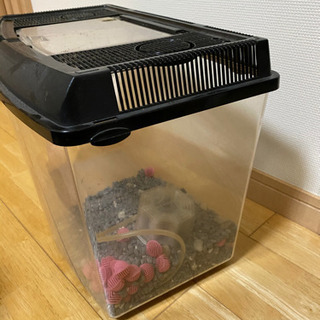 水槽　無料でお譲りします