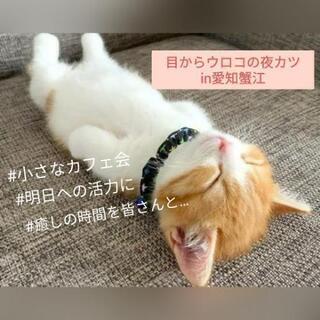 目からウロコの夜カツ　in蟹江（愛知）