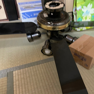 シーリングファンライト