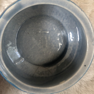 メキシコのトナラ焼き2の画像