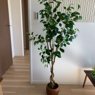 お譲り先決定しました！　造花　観葉植物