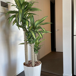 高級な光触媒のフェイクグリーン人工観葉植物