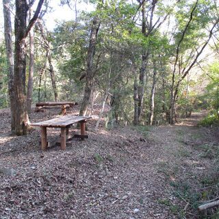 沢有り！平坦地有り！”11,262㎡”の広大山林！