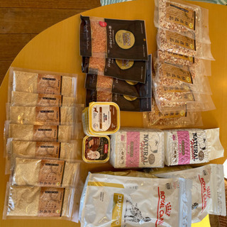 成犬用ご飯類