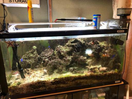 海水水槽セット