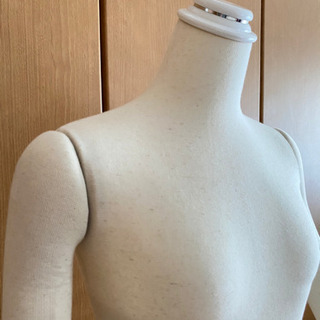トルソーの画像