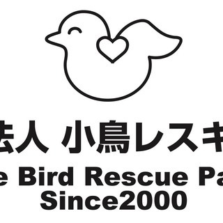 ★保護施設の鳥たちのお世話です★の画像