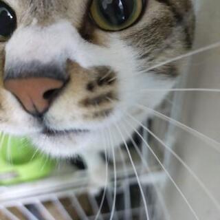 お話中)もうすぐ2歳の男の子です。