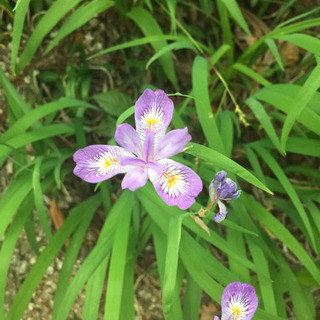 そうだ、こたつ舟に乗ろう〜in 丸森〜