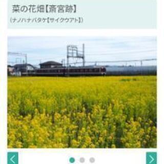 こどもと一緒にお写ん歩しませんか？？