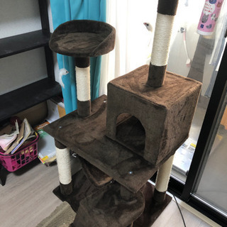 キャットツリー