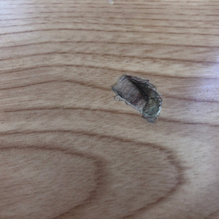 訳ありコタツお譲りします！(商談中)の画像